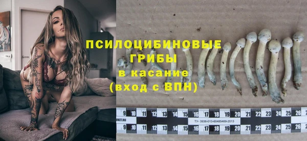 mix Белокуриха